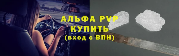 стафф Арсеньев