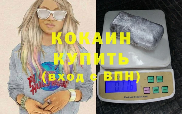 стафф Арсеньев