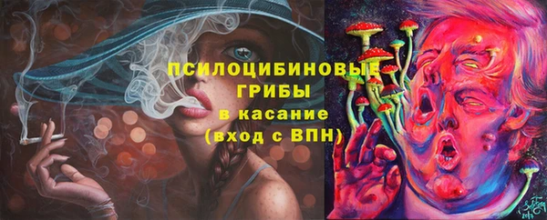 стафф Арсеньев