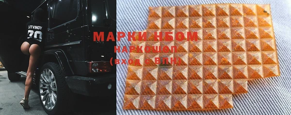 стафф Арсеньев