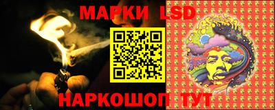 СК Боровичи