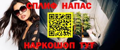 прущие грибы Братск