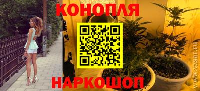 СК Боровичи