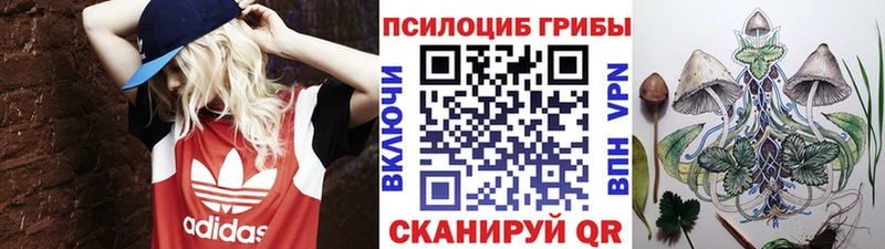 Псилоцибиновые грибы Cubensis  Брянск 