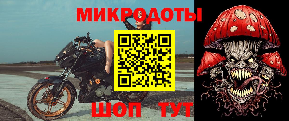 Псилоцибиновые грибы Psilocybine cubensis Брянск