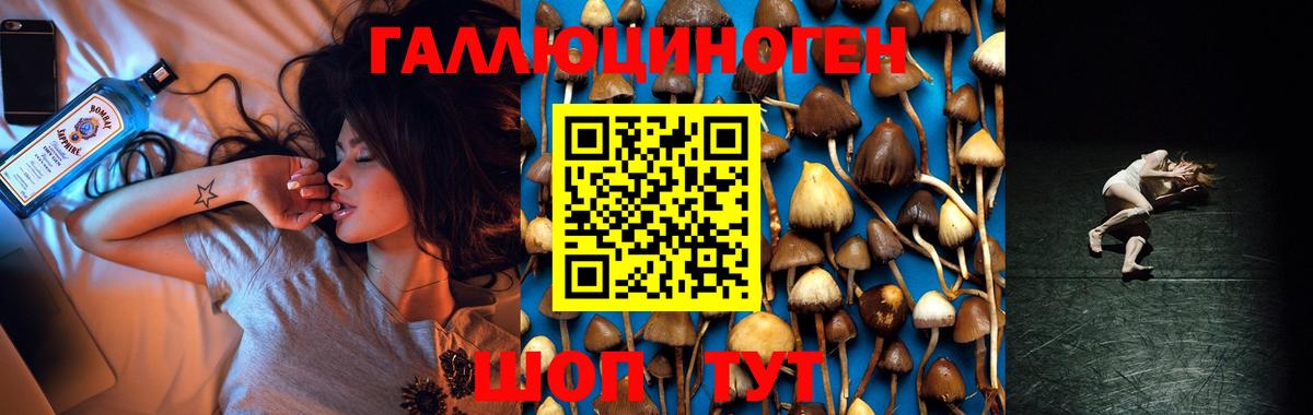 Брянск  Псилоцибиновые грибы прущие грибы  Вход с VPN 